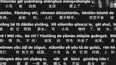 普通话《可爱的小鸟》