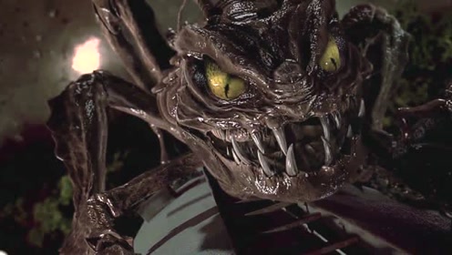 男子踩死蟑螂,引起蟑螂王的注意,下一秒忍住别笑