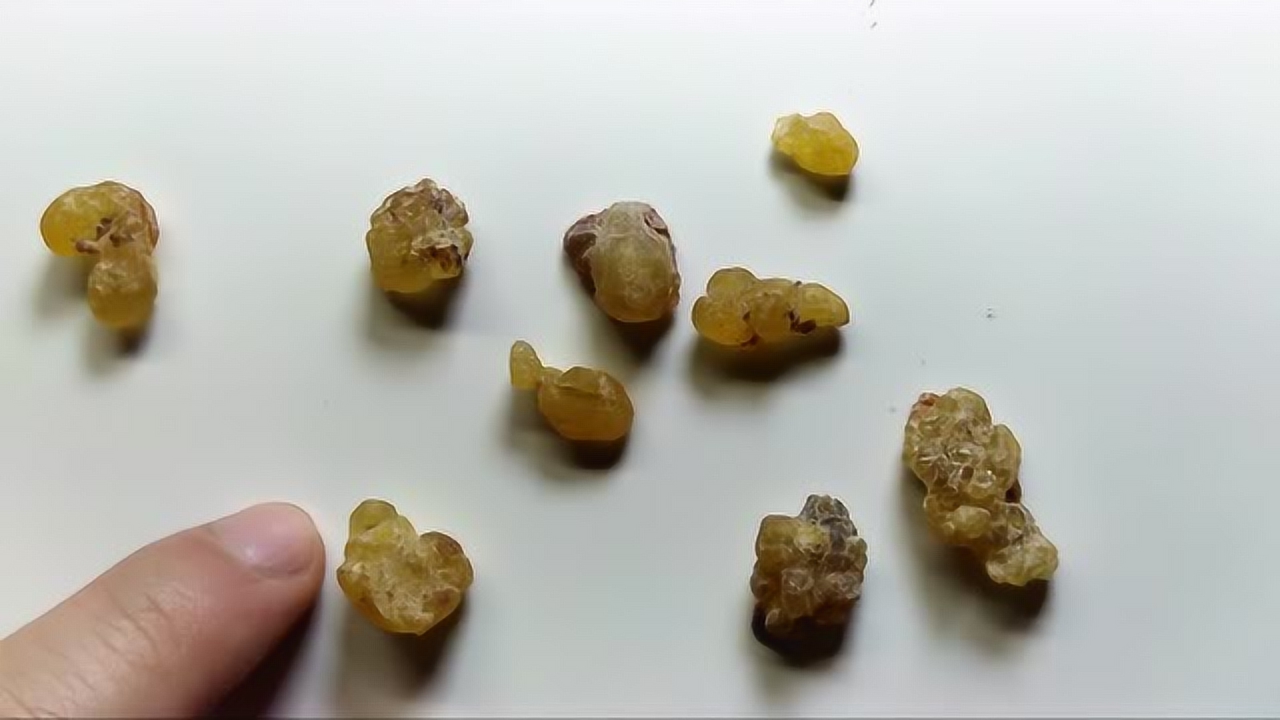 梦幻的什么是乳香的照片