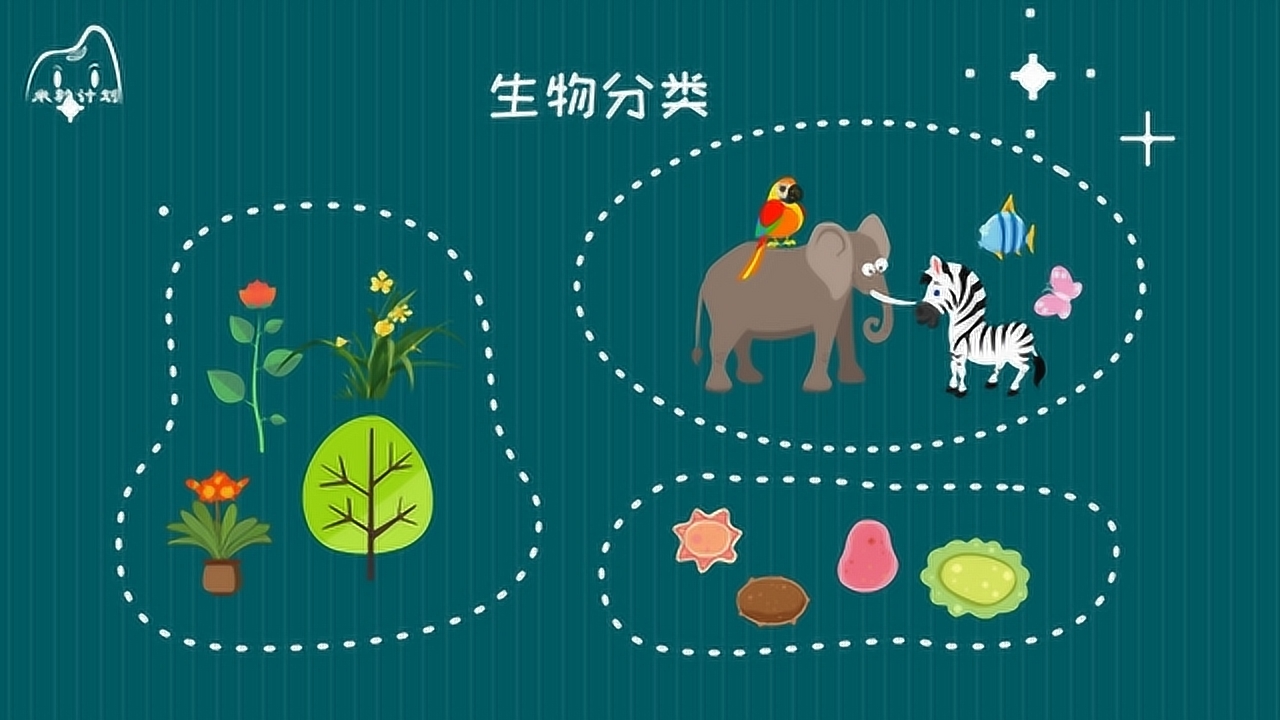 生物 具有动能的生命体 搜狗百科