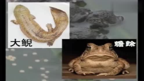 腾讯视频