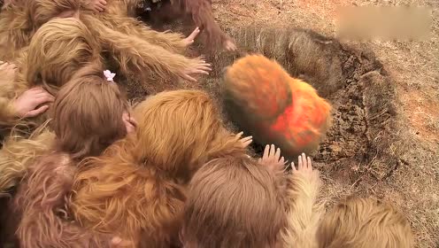 原来孙悟空是这样出生的,这样的萌版小悟空也太可爱了吧