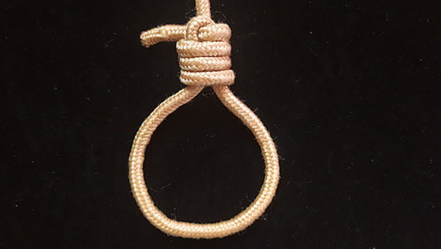 怎样打一个活动的绳套绳结?助产绳套的打法!