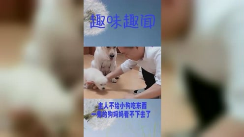 犬山木曽川花火 腾讯视频