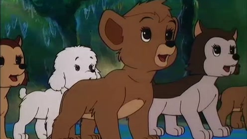 狮子王:辛巴将会是未来的森林之王,还被赋予神圣的北斗七星