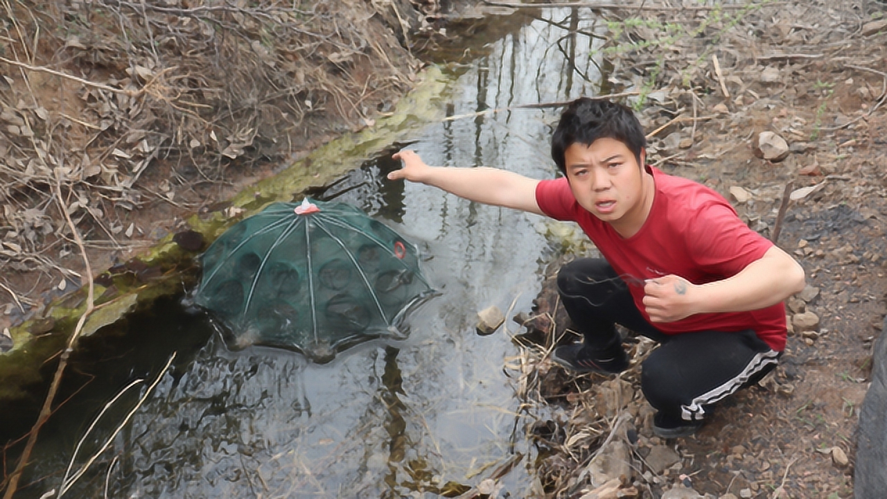 农村小伙到河沟下地笼捕鱼,第二天捕到条大鲶鱼,该咋吃好?
