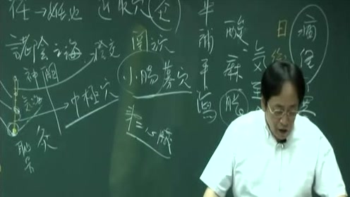 倪海厦人纪针灸 腾讯视频