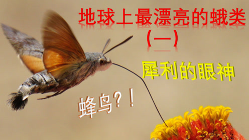 腾讯视频