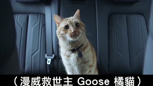 梦姓广告cd 腾讯视频