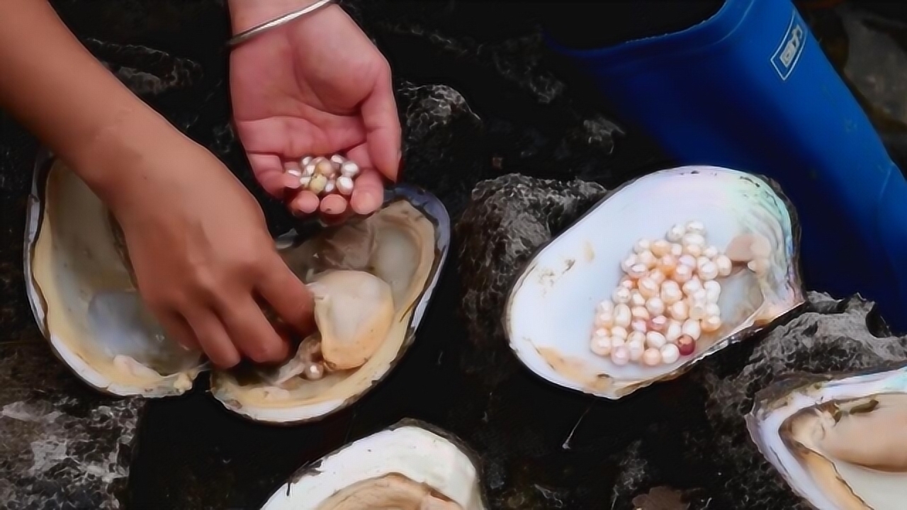 美女野外池塘边捞巨型河蚌,结果打开收获罕见大珍珠,这下赚大了!