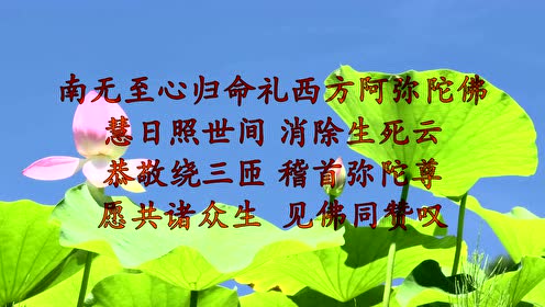 往生礼赞偈~赞叹门