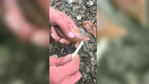 è…¾è®¯è§†é¢'