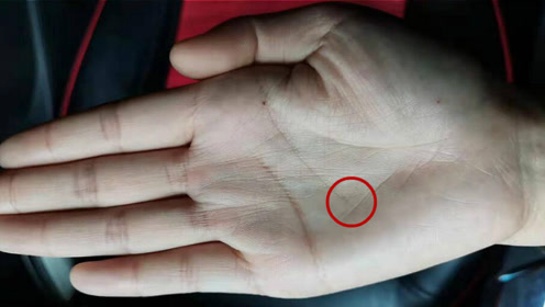 女人手相事业线中间断开又连上,衔接性错开升起新线代表什么?