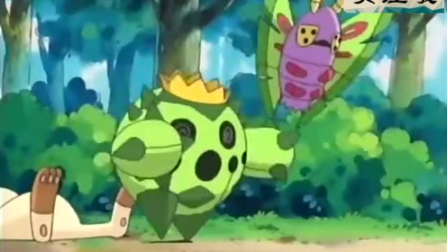 煤炭龟 腾讯视频