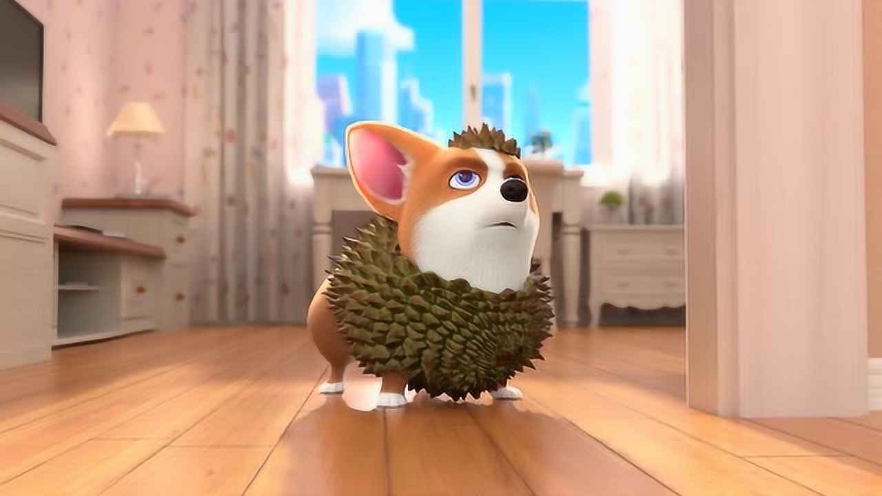 《可爱的小柯基》小主人欺负moco,moco反抗了结果会是怎样呢?