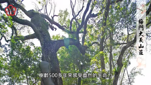 梅門養生 腾讯视频