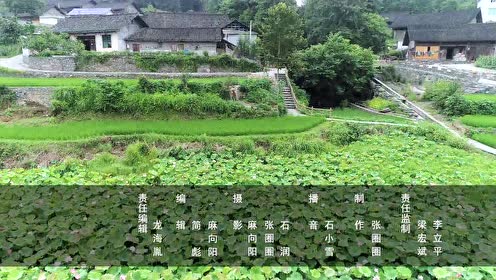 腾讯视频