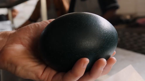 会下"黑蛋"的鸡,1只售价600万,除了血都是黑色的!