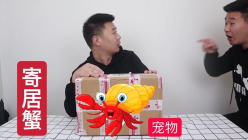 腾讯视频