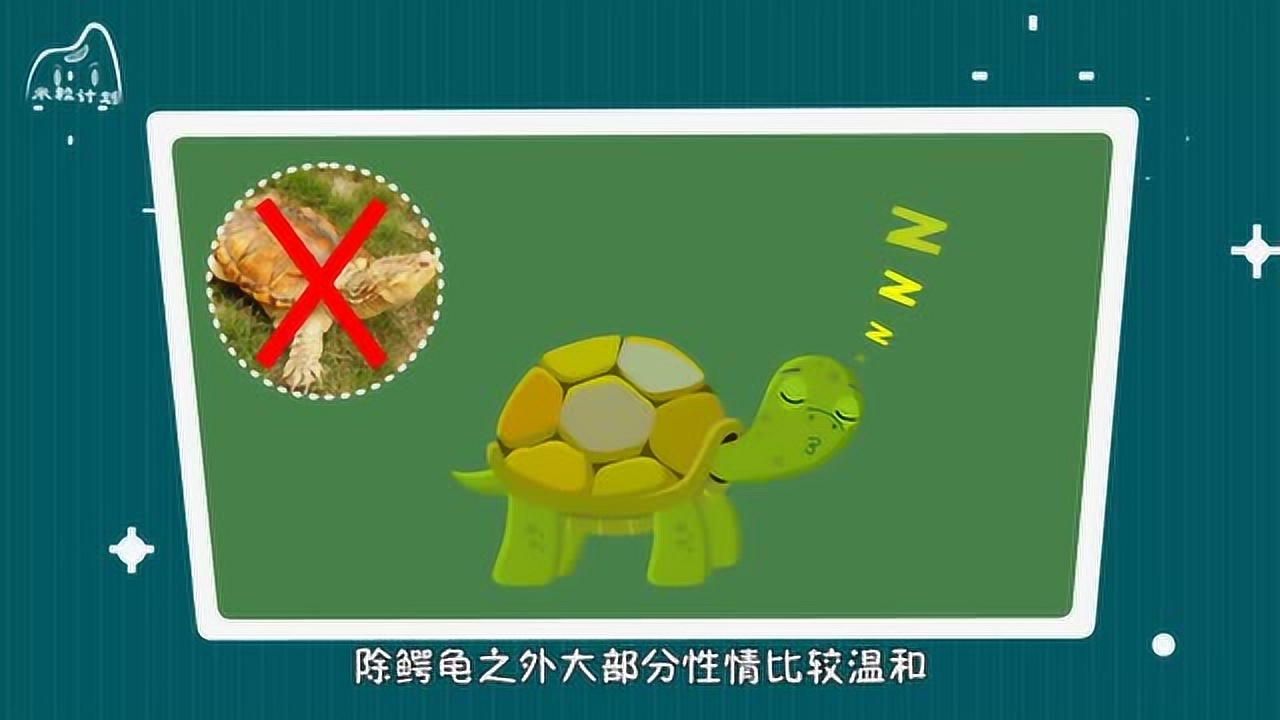 鳖(龟鳖目鳖科动物)_搜狗百科