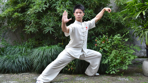 精武世家 腾讯视频