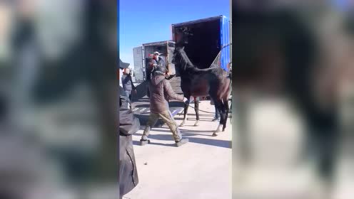 腾讯视频