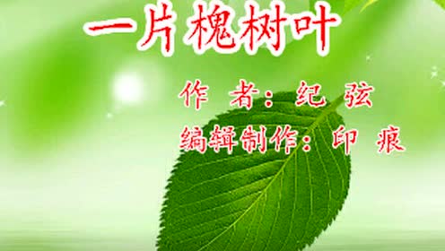 【一片槐树叶】骏马诵读
