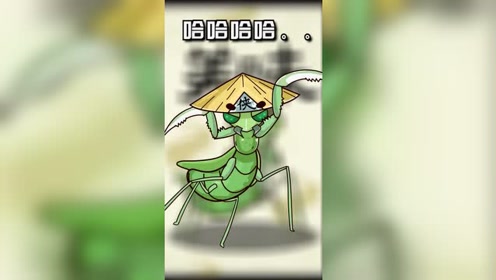 昆虫馆的小螳螂 腾讯视频