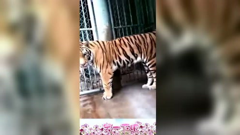 腾讯视频