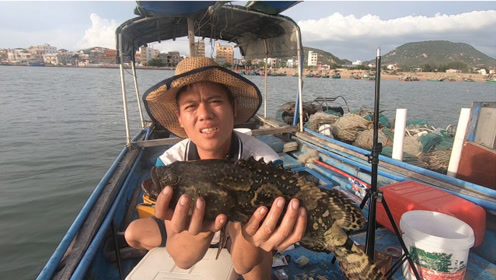 赶海凭真本事抓到如此多值钱货,阿平偷偷拿给漂亮老板娘,赚大了