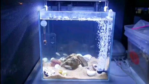 腾讯视频