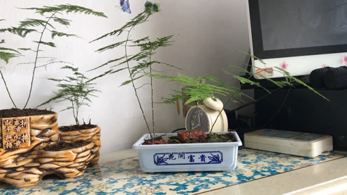 高档酒店浴室灯镜 腾讯视频