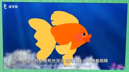 腾讯视频