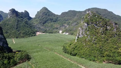 【走遍兴宾】航拍来宾市兴宾区石陵镇感龙村