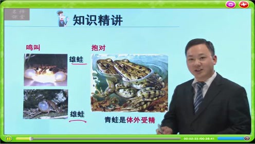 八年级生物下册七单元第1章 生物的生殖和发育3.两栖动物的生殖和发育