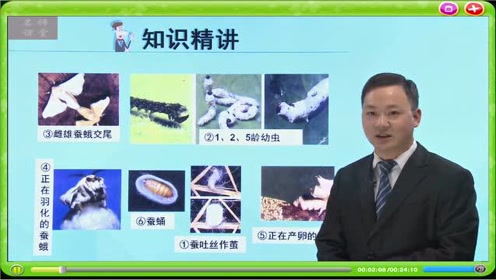 八年级生物下册七单元第1章 生物的生殖和发育2.昆虫的生殖和发育