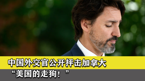 中国外交官公开抨击加拿大,"美国的走狗!