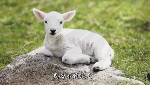 诗篇23 腾讯视频