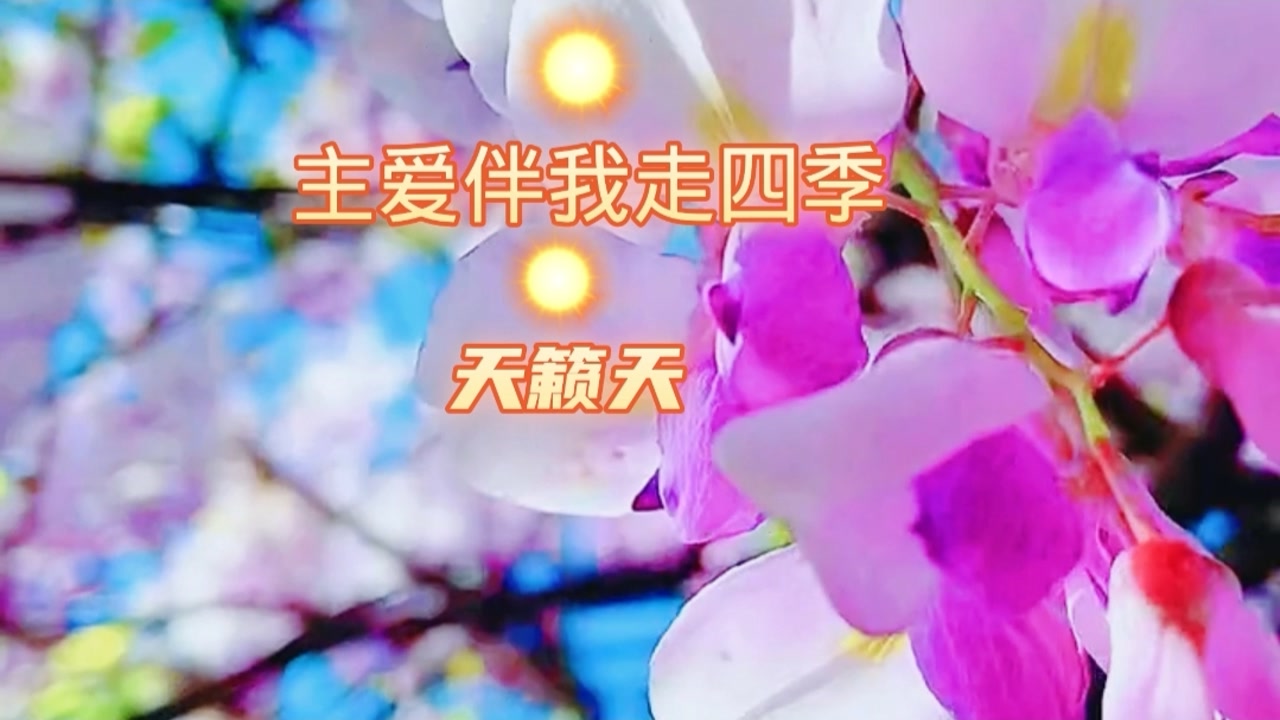 主爱伴我走四季.