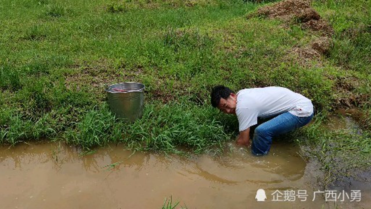 農村小勇哥戶外打野精彩節目,抓到好幾條魚,好過癮啊