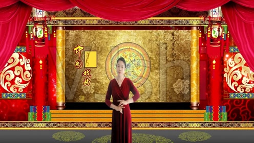 柳琴戏 张郎休丁香