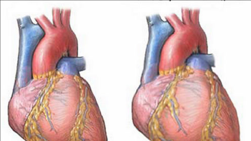 怔忪心悸,心肌炎都有效果,两味药治心脏大病又一方