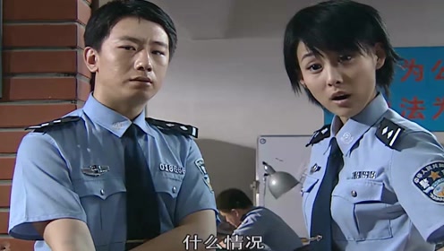 红蜘蛛:美女骗1800万,男警担心她金盆洗手,老警察一口否决