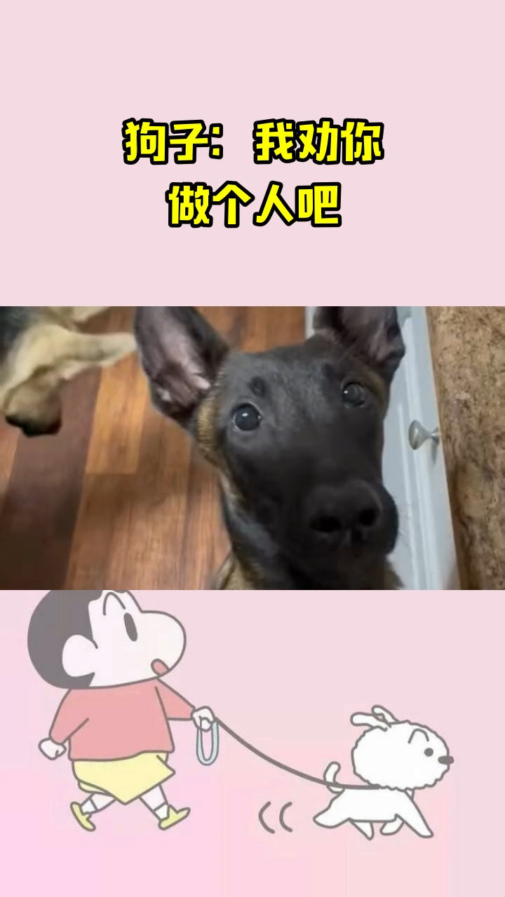 狗子:我劝你,做个人吧