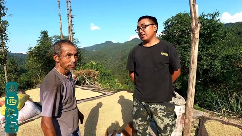 时 间:2021-09-24上传者:湘西冬宝简 介:冬宝给粉丝找野生猕猴桃,出