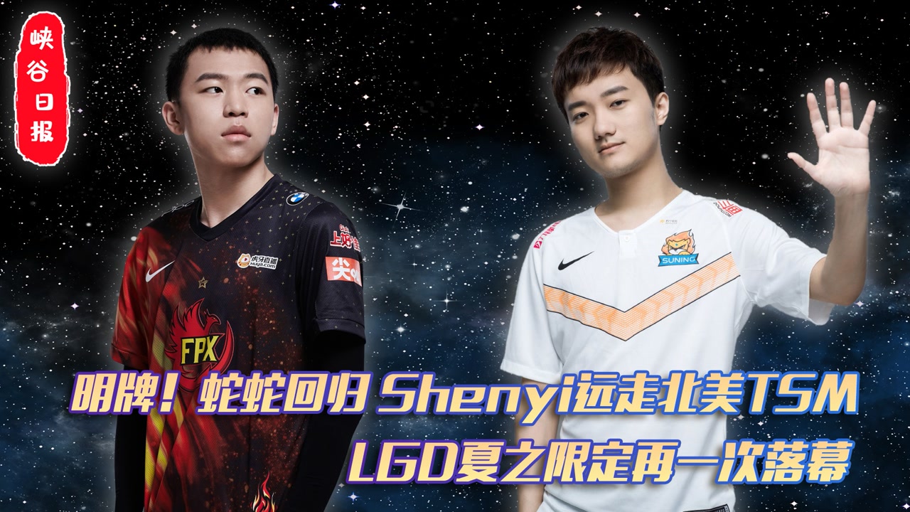 蛇蛇回归Shenyi远走北美TSM！LGD夏之限定再一次落幕！