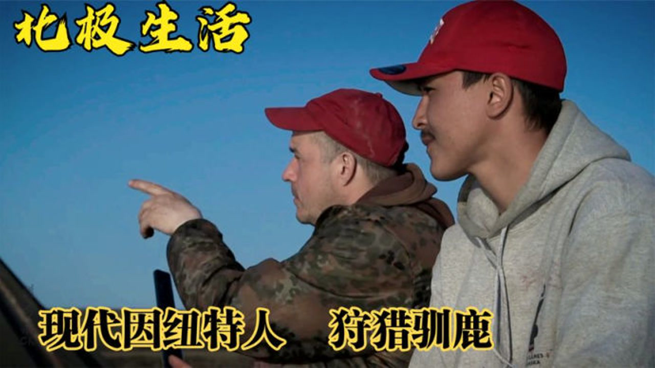 现代因纽特人的狩猎行动,只有精密的计划,才能万无一失,纪录片