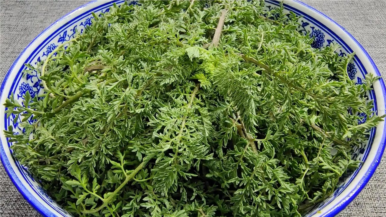 野菜麦蒿好吃有秘诀,大厨教你一招,清淡味美不花钱,做法简单