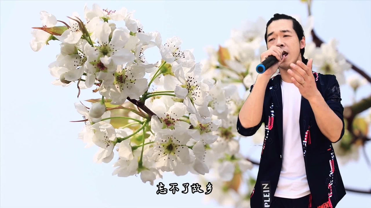 梨花又开放指弹吉他