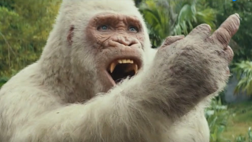 这只白金刚真是很皮哦,敢向强森竖中指